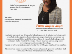 Bericht tnv Vallery Stefany Linger.03